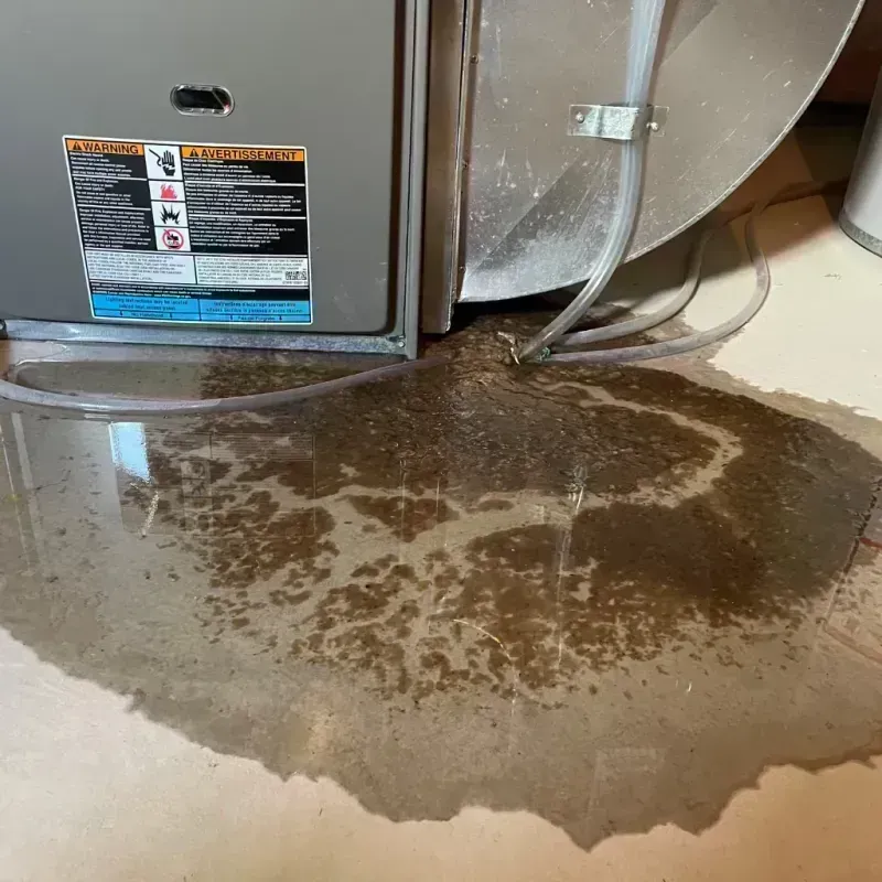 Appliance Leak Cleanup in Prairie County, MT